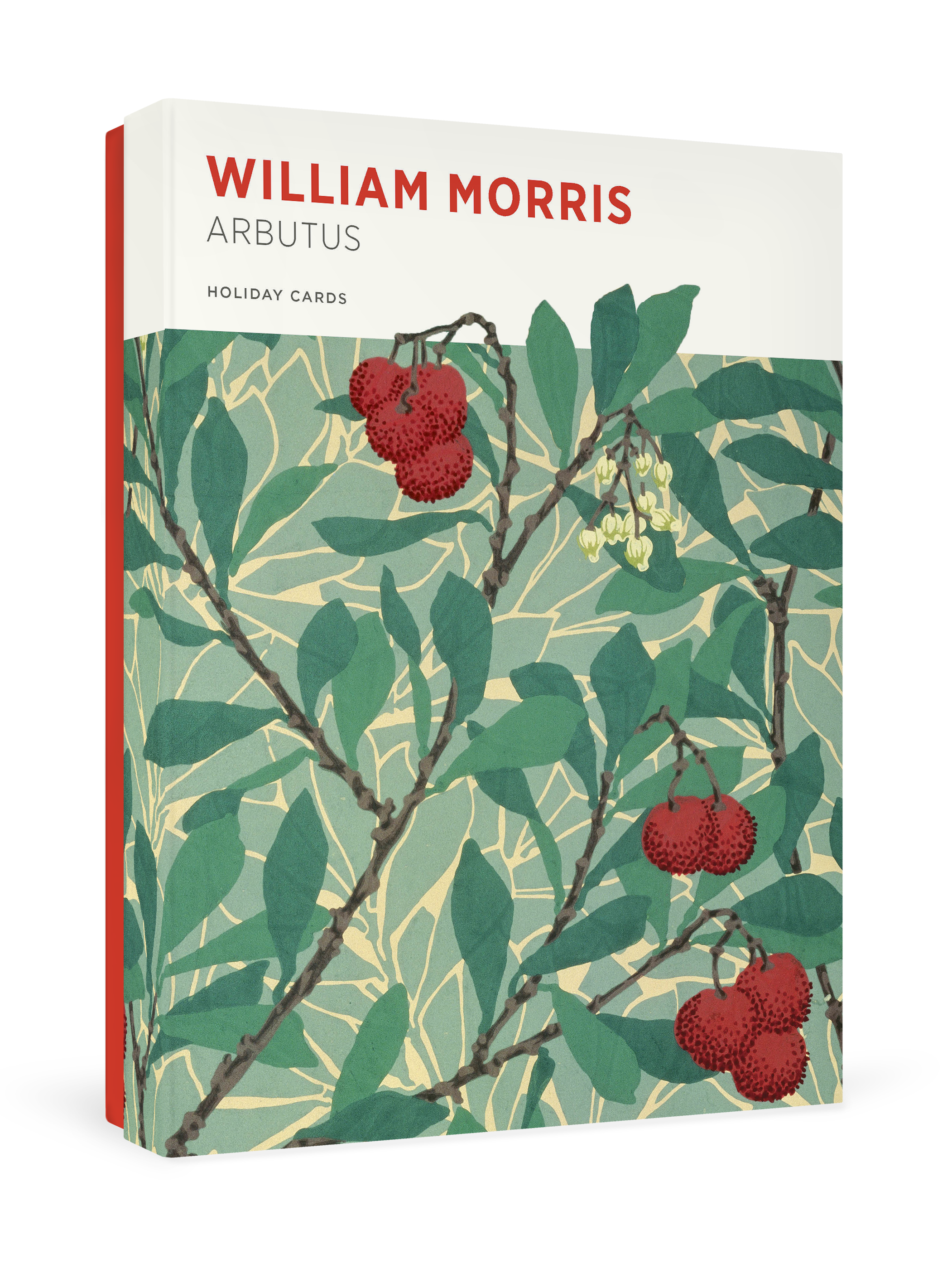 pomegranate-morris-weihnachtskarten-arbutus-blumen image 1