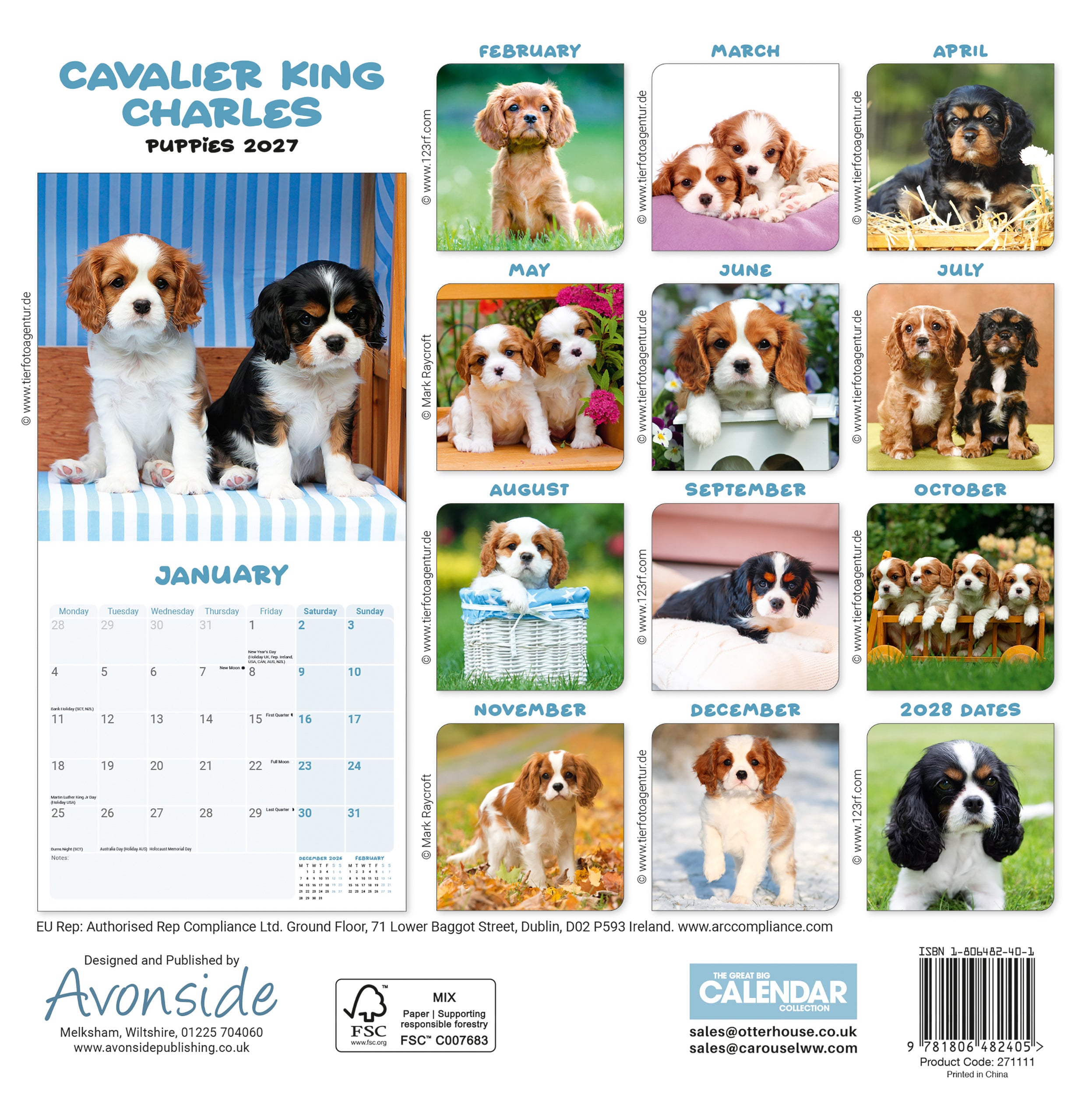 otter-house-mini-kalender-2027-cavalier-welpen-wandkalender-hunde image 2