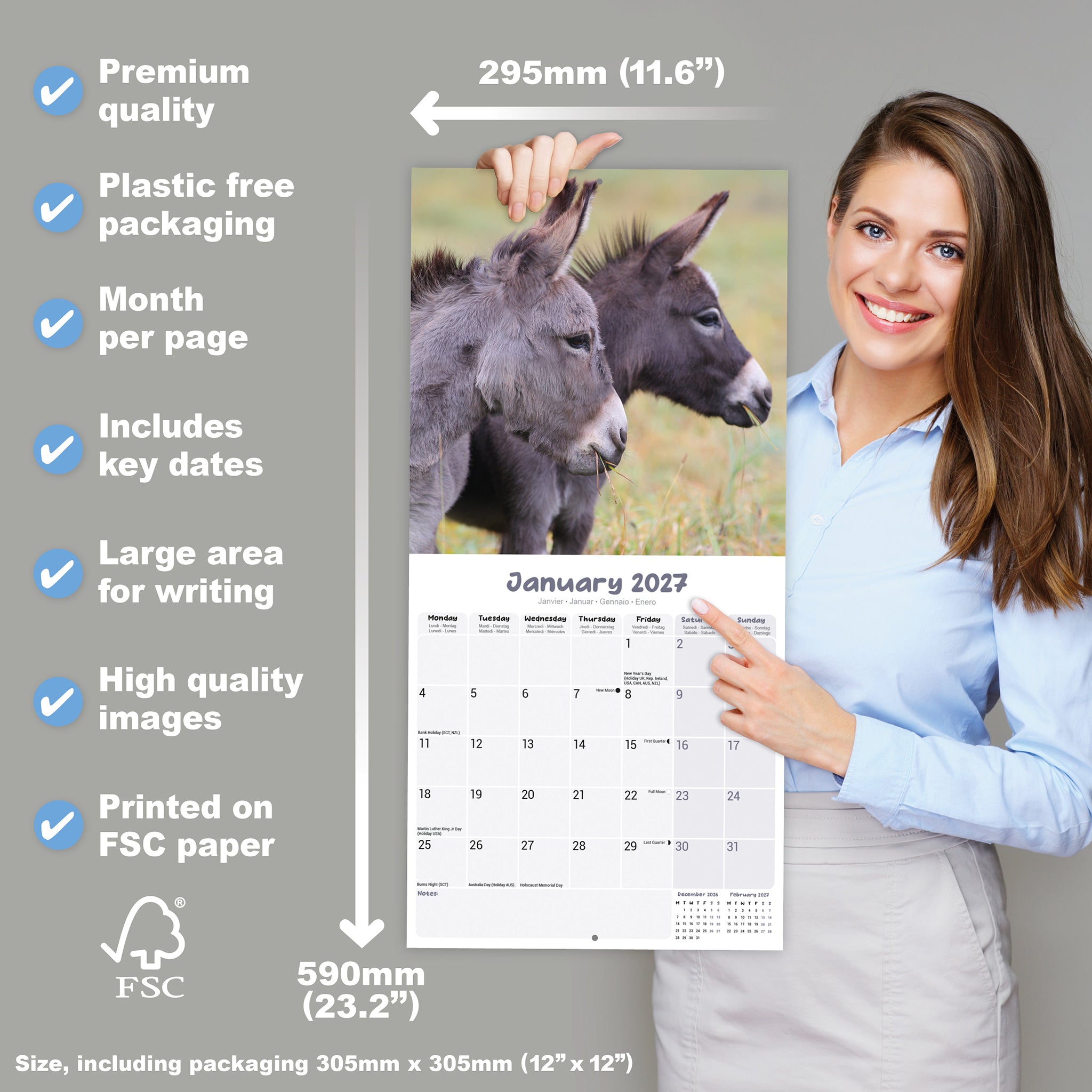 otter-house-donkeys-wandkalender-2027-esel image 4