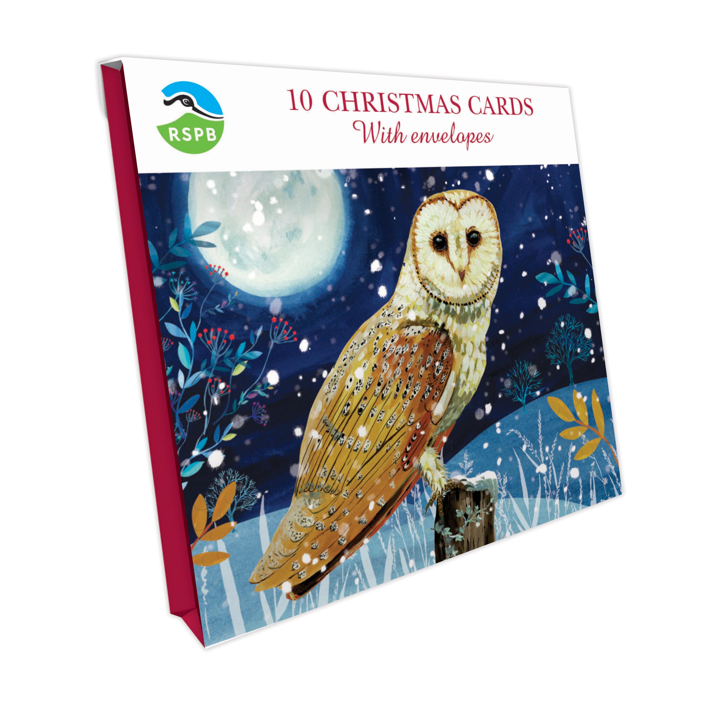 otter-house-weihnachtskarten-eule-10er-pack-rspb-klein-quadratisch image 1