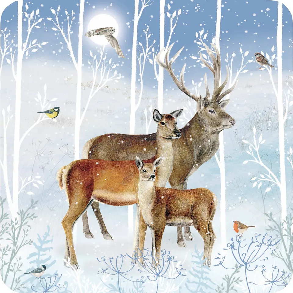 otter-house-winter-visitors-weihnachtskarten-10er-pack image 1