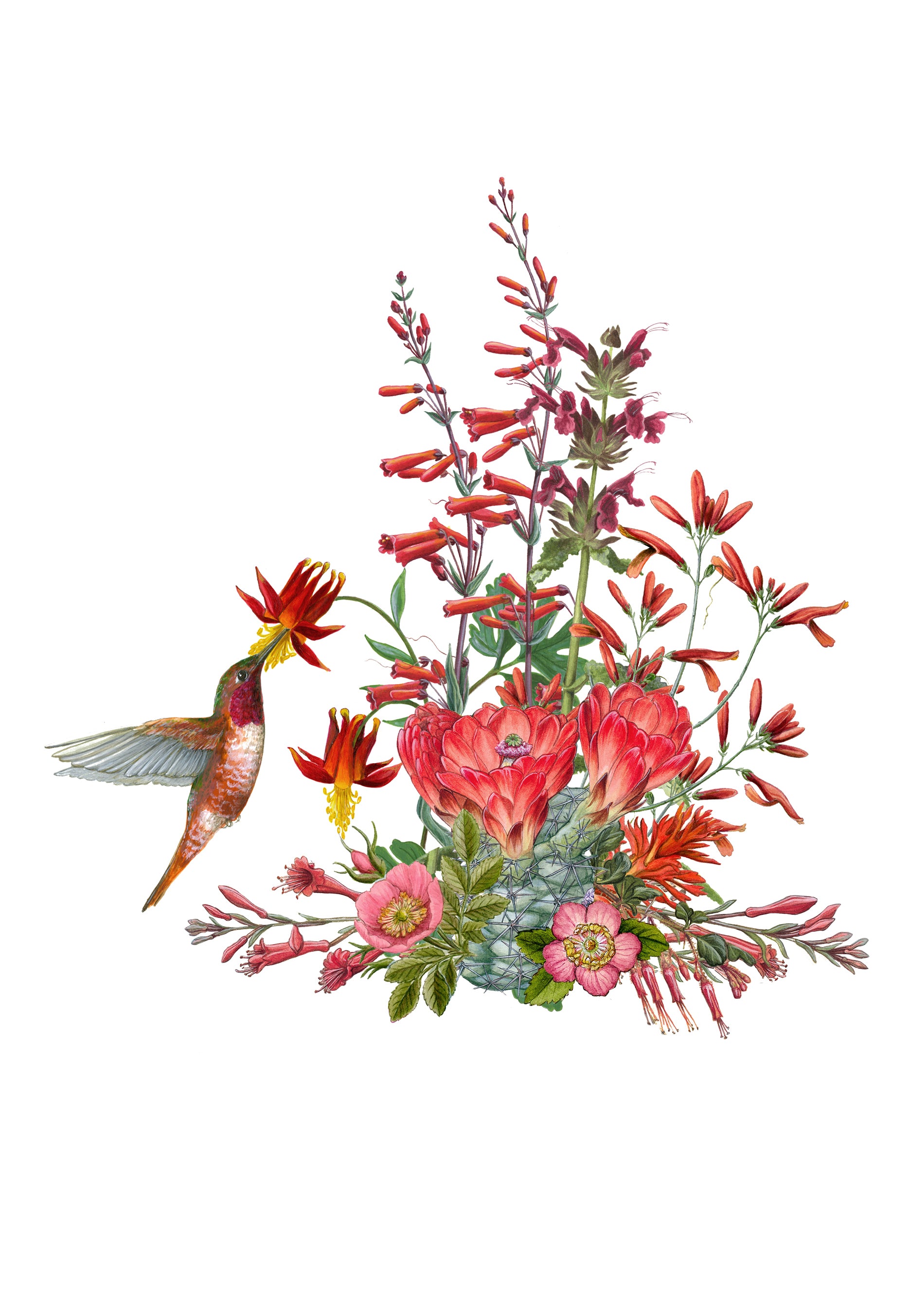 pomegranate-erin-hunter-pollinators-gru-karten-set-20-st-ck image 4