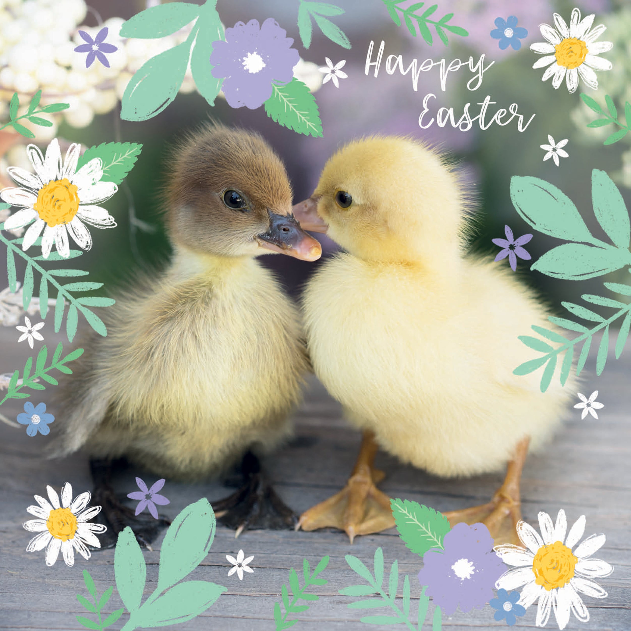 otter-house-easter-chick-osterkarten-5er-pack-k-kenmotiv image 1