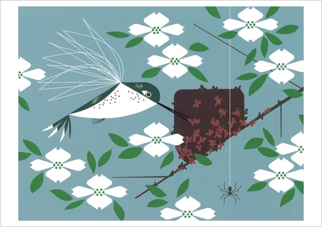 pomegranate-charley-harper-hummingbird-homemaker-klappkarte-blanko image 1