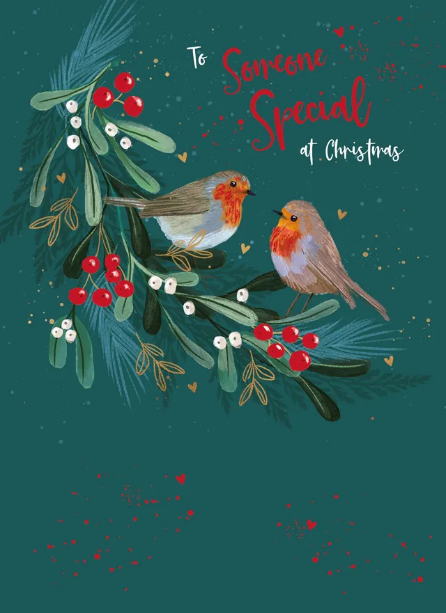otter-house-christmas-robins-weihnachtskarte-someone-special image 1
