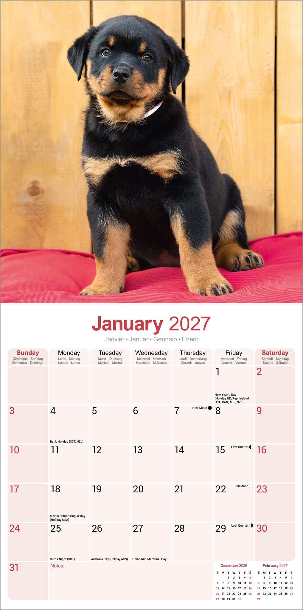 otter-house-rottweiler-puppies-wall-calendar-2027-hunde image 3
