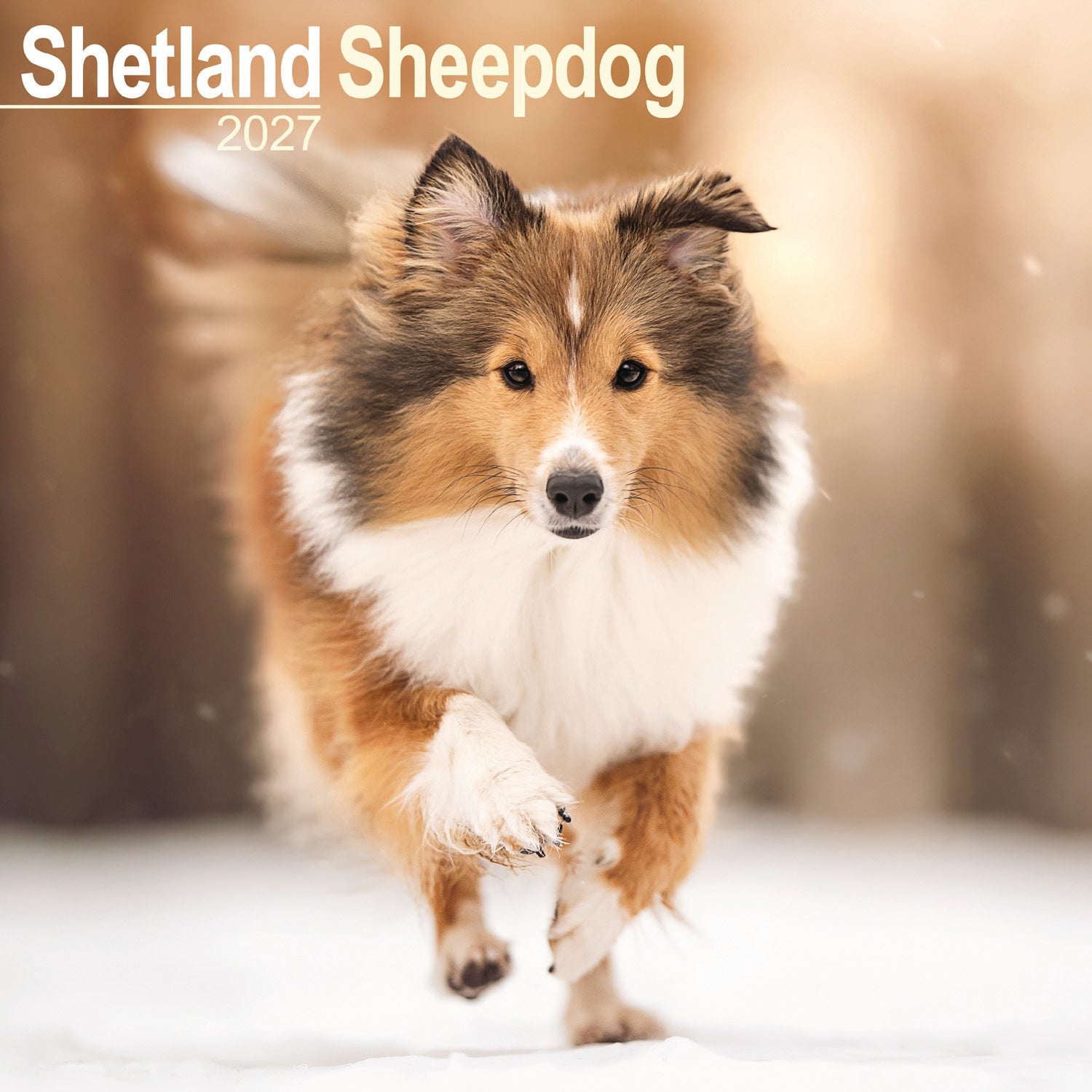 otter-house-shetland-sheepdog-wandkalender-2027-hunde image 1