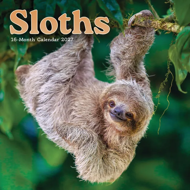 otter-house-sloths-mini-kalender-2027-faultiere-wandkalender image 1