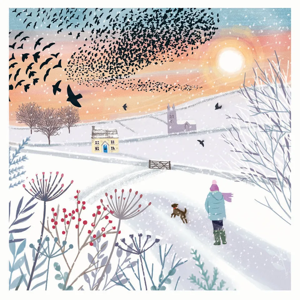 otter-house-rspb-weihnachtskarten-10er-set-murmuration image 1