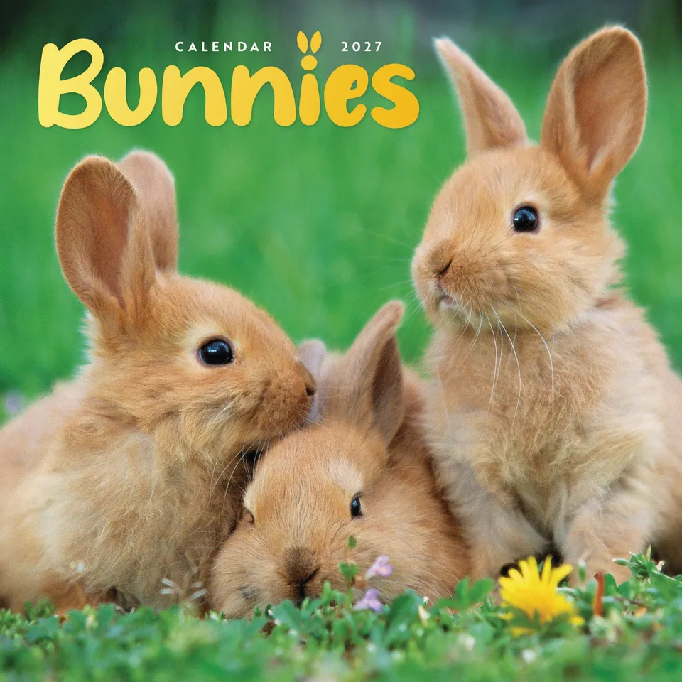 otter-house-bunnies-mini-kalender-2027-wandkalender image 1