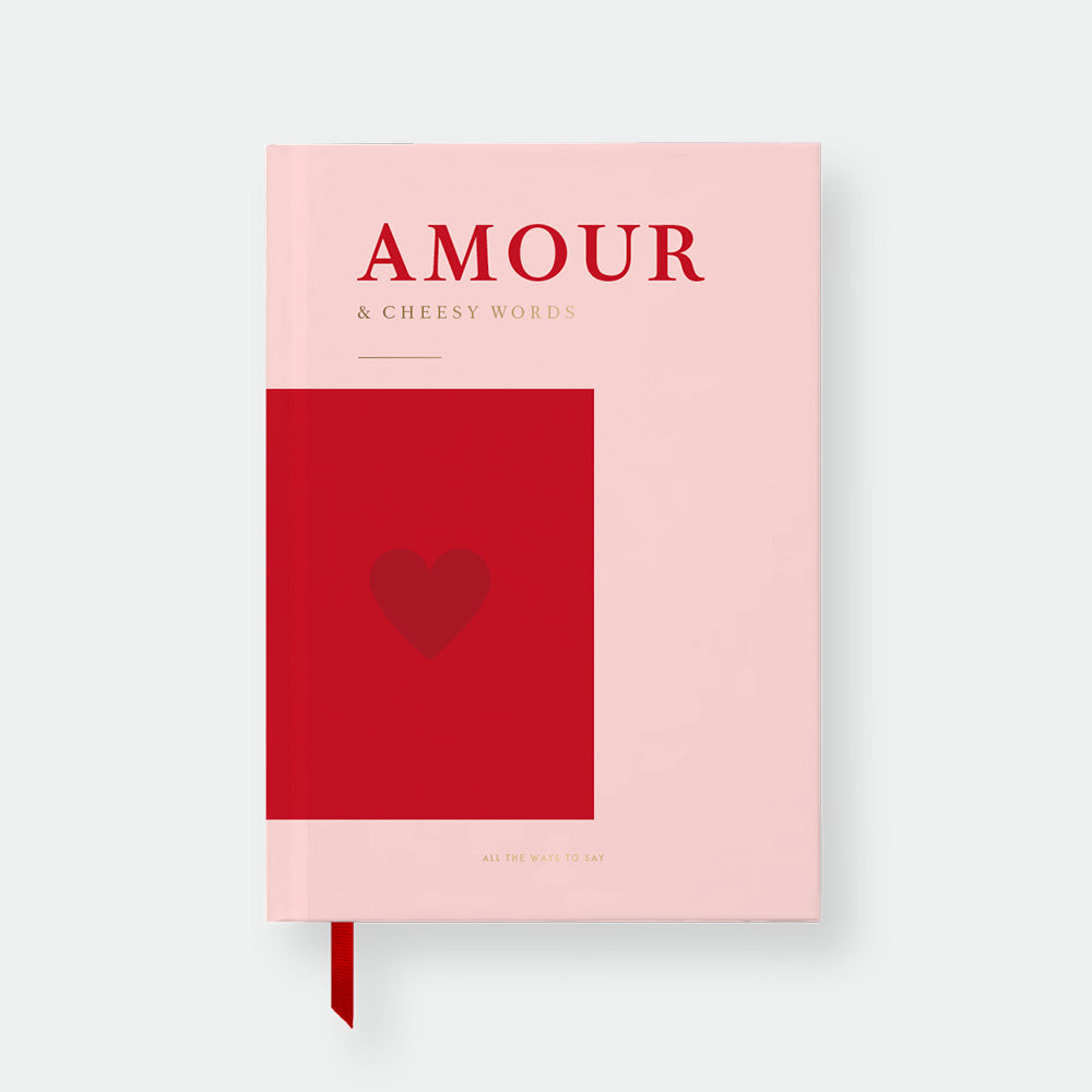 all-the-ways-to-say-amour-notizbuch-a5-liniert-rosa image 1