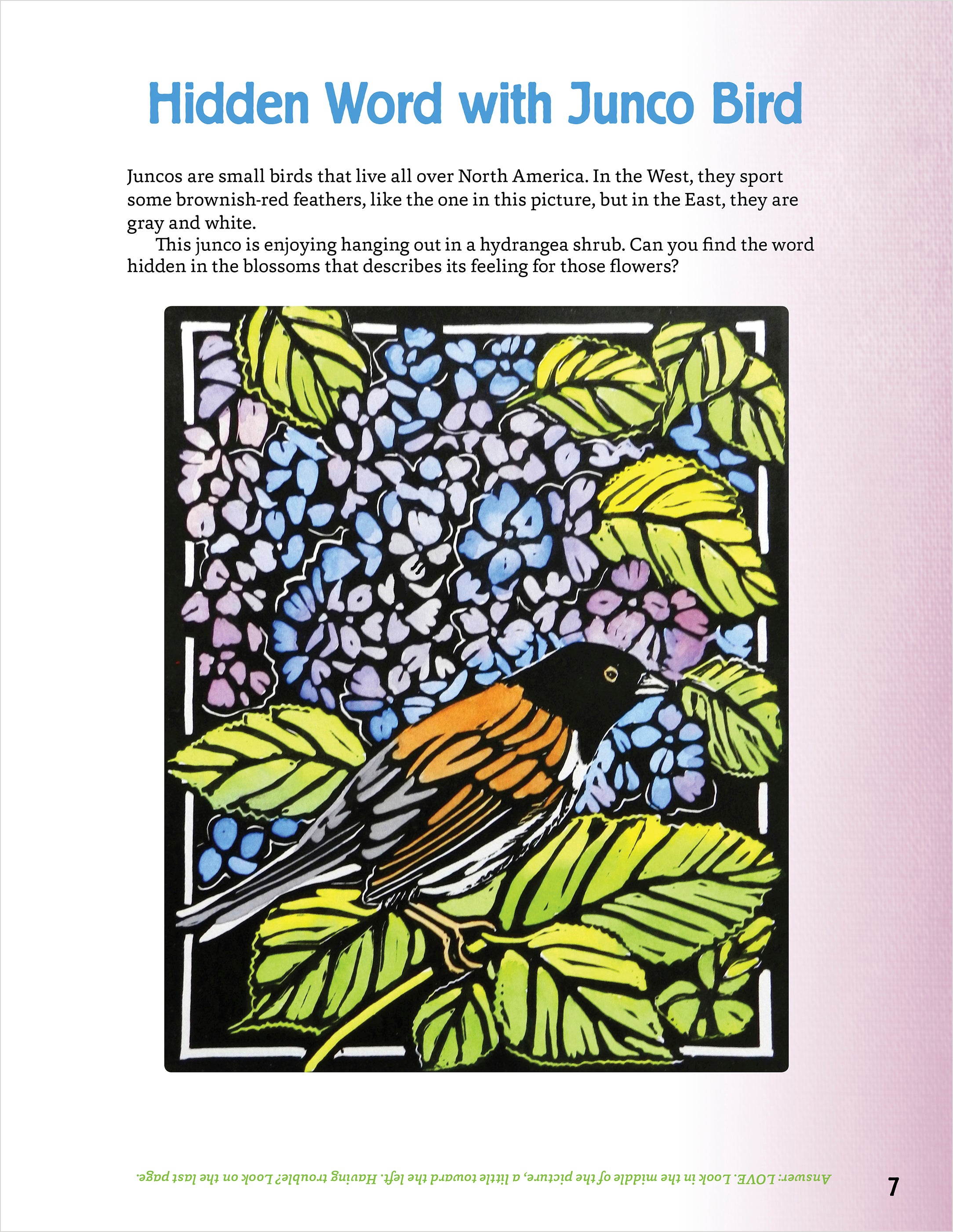 pomegranate-molly-hashimoto-art-nature-activity-book-kinder image 5