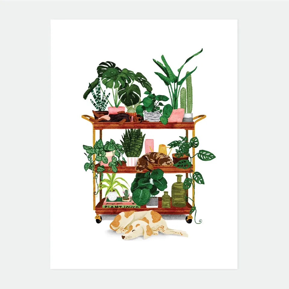 all-the-ways-to-say-plant-shelf-poster-pflanzen-29-7x39-7-cm image 1