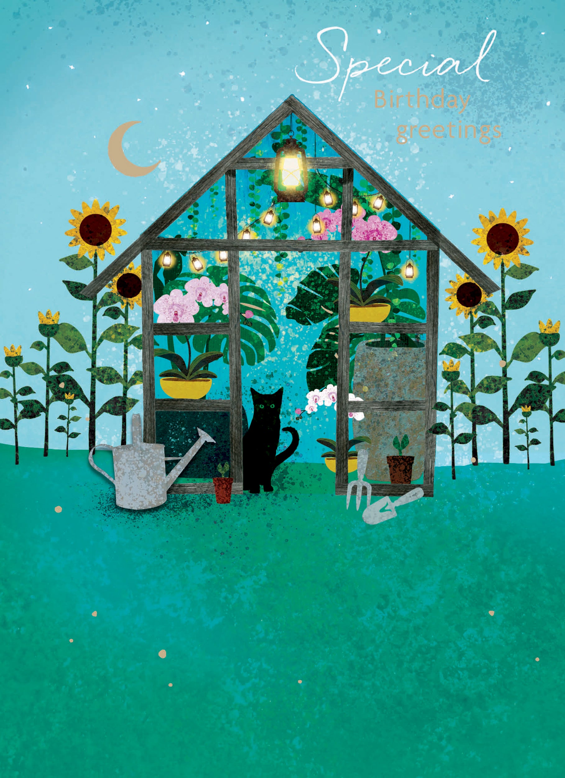 otter-house-midnight-wishes-geburtstagskarte-katze-gew-chshaus image 1