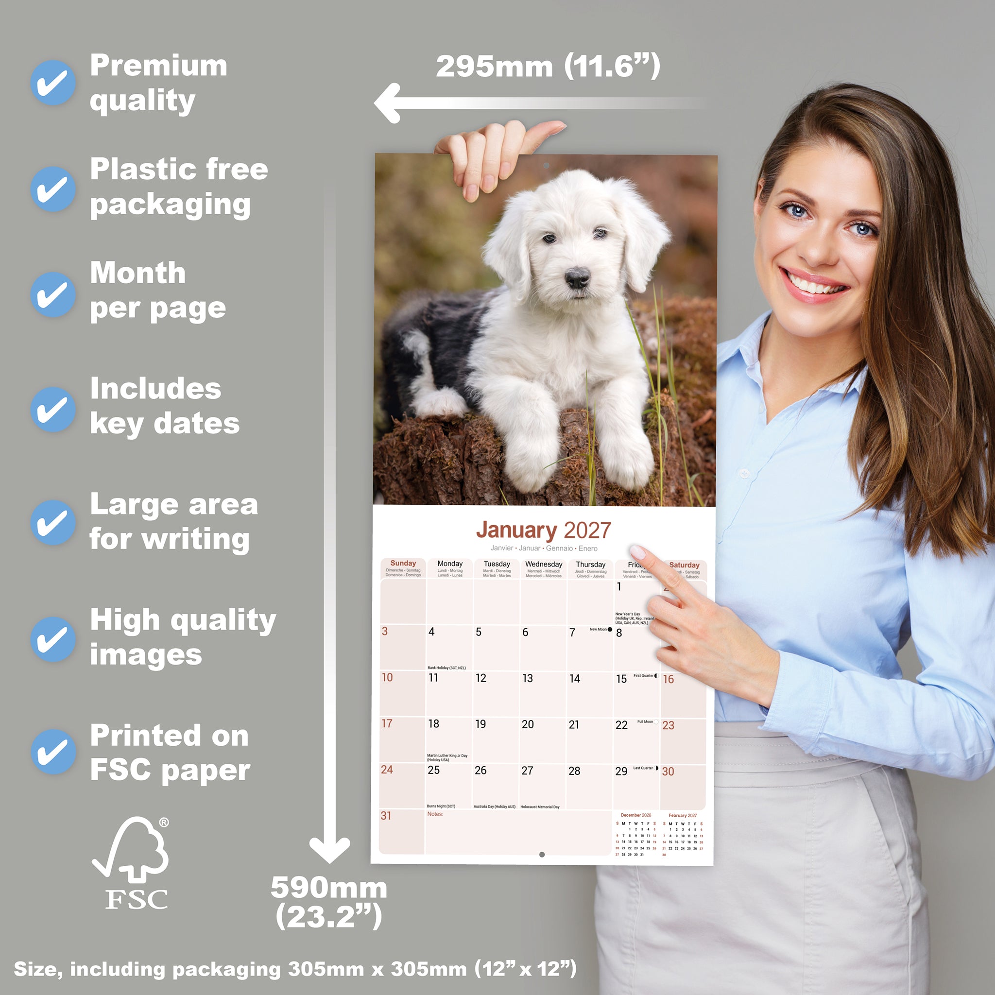 otter-house-calendars-old-english-sheepdog-wandkalender-2027-hunde image 4