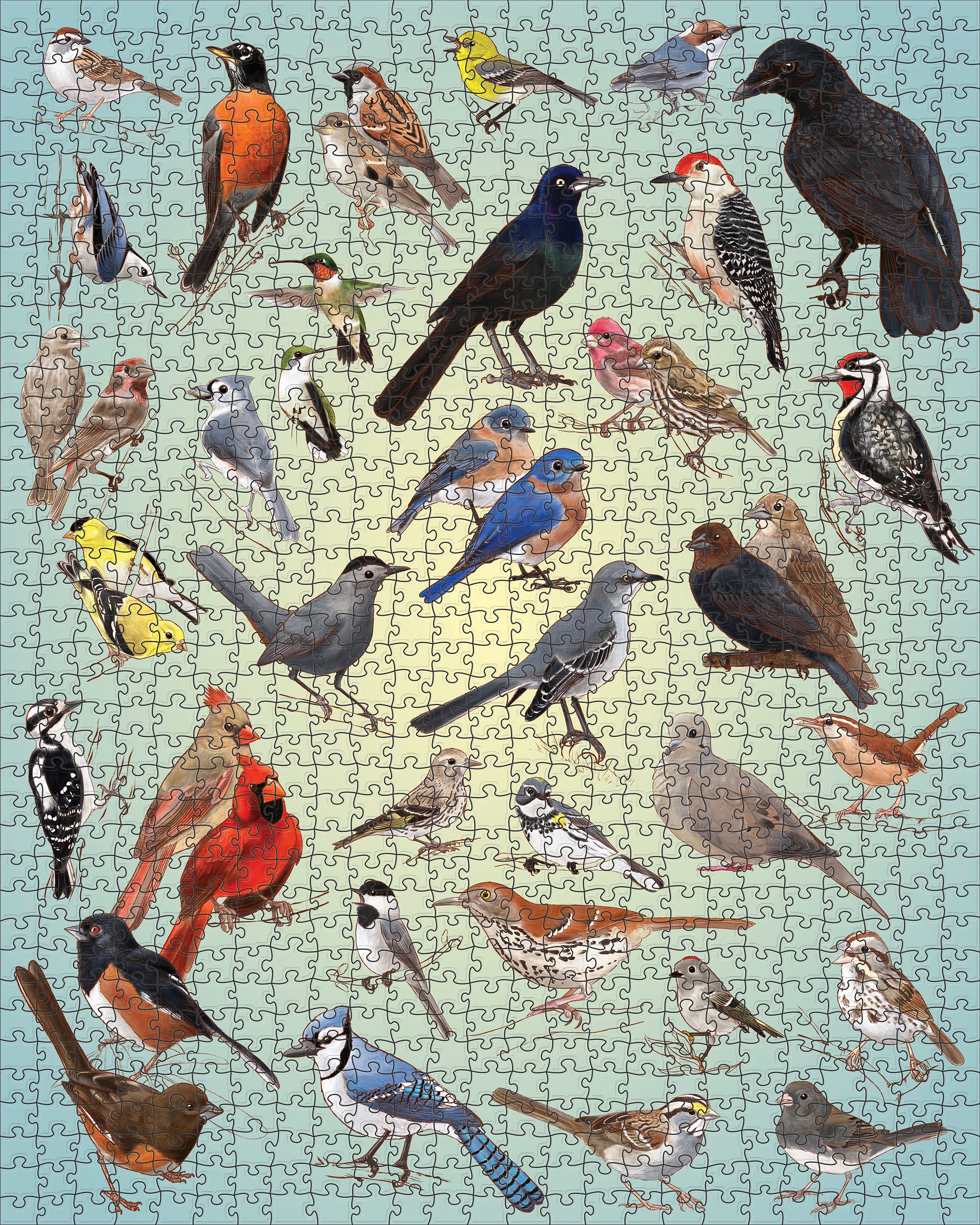 pomegranate-casey-girard-backyard-birds-puzzle-1000-teile-v-gel image 2