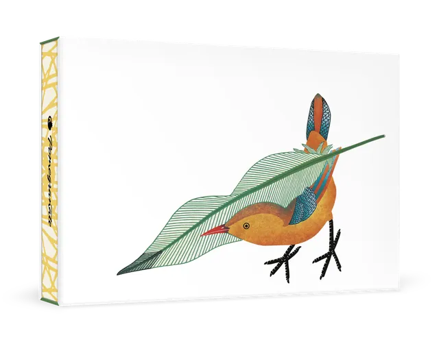 pomegranate-feathering-the-nest-gru-karten-box-qavavau-manumie image 1
