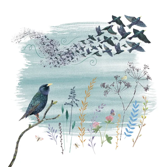otter-house-rspb-starling-murmuration-gru-karte-v-gel image 1