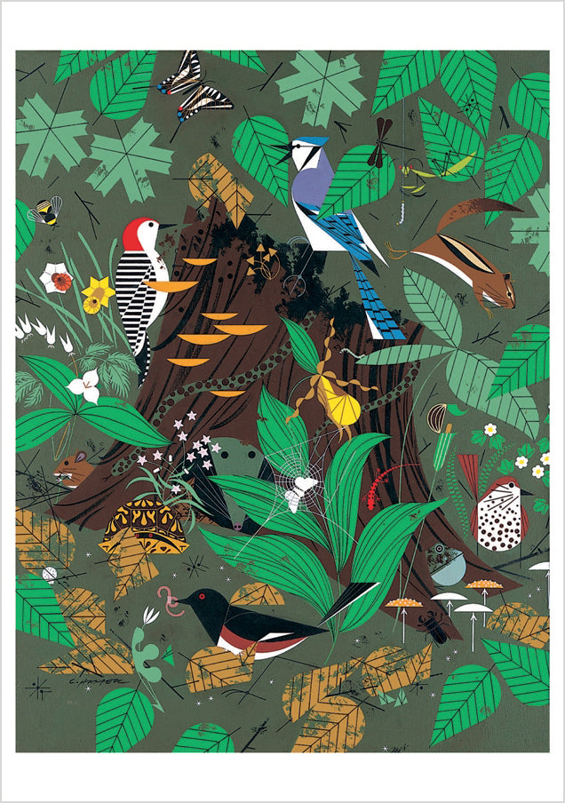pomegranate-charley-harper-woodland-wonders-tierkarte image 1