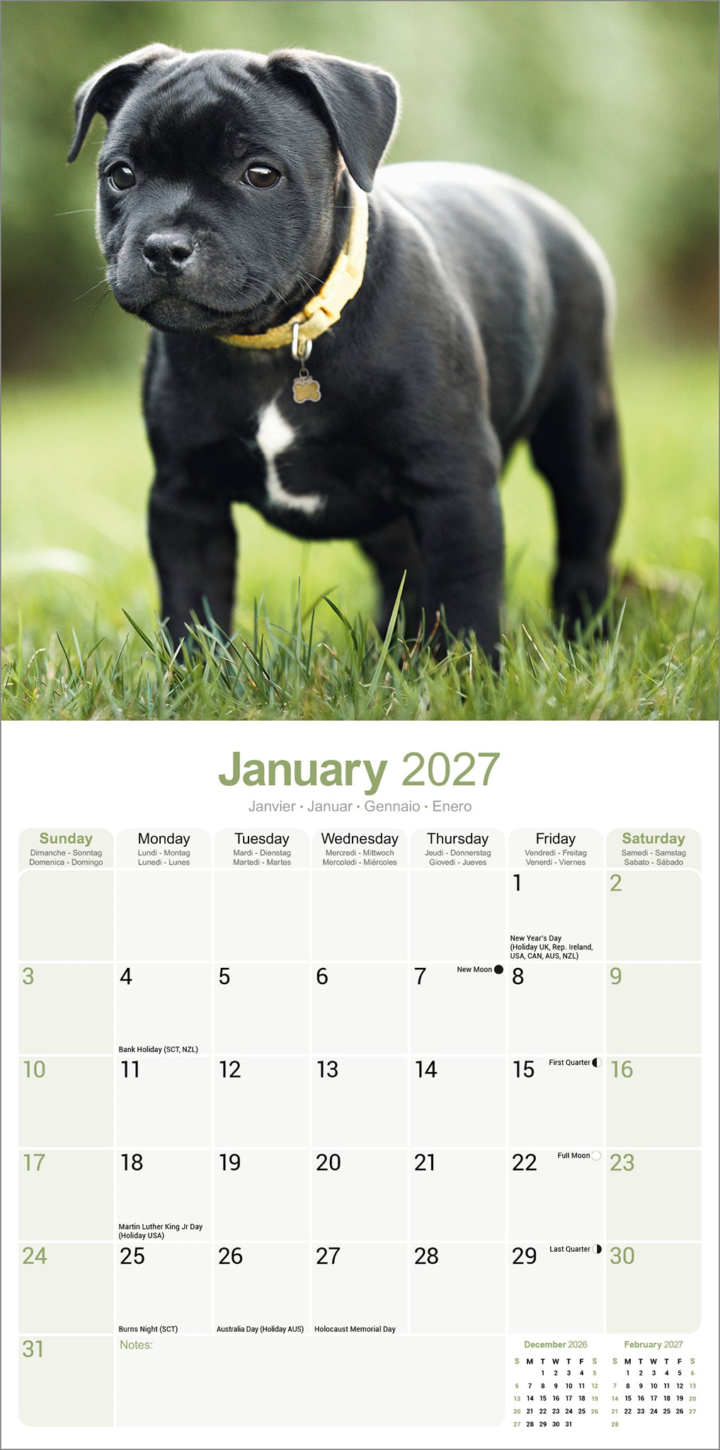 otter-house-staffordshire-bull-terrier-wandkalender-2027-2 image 3