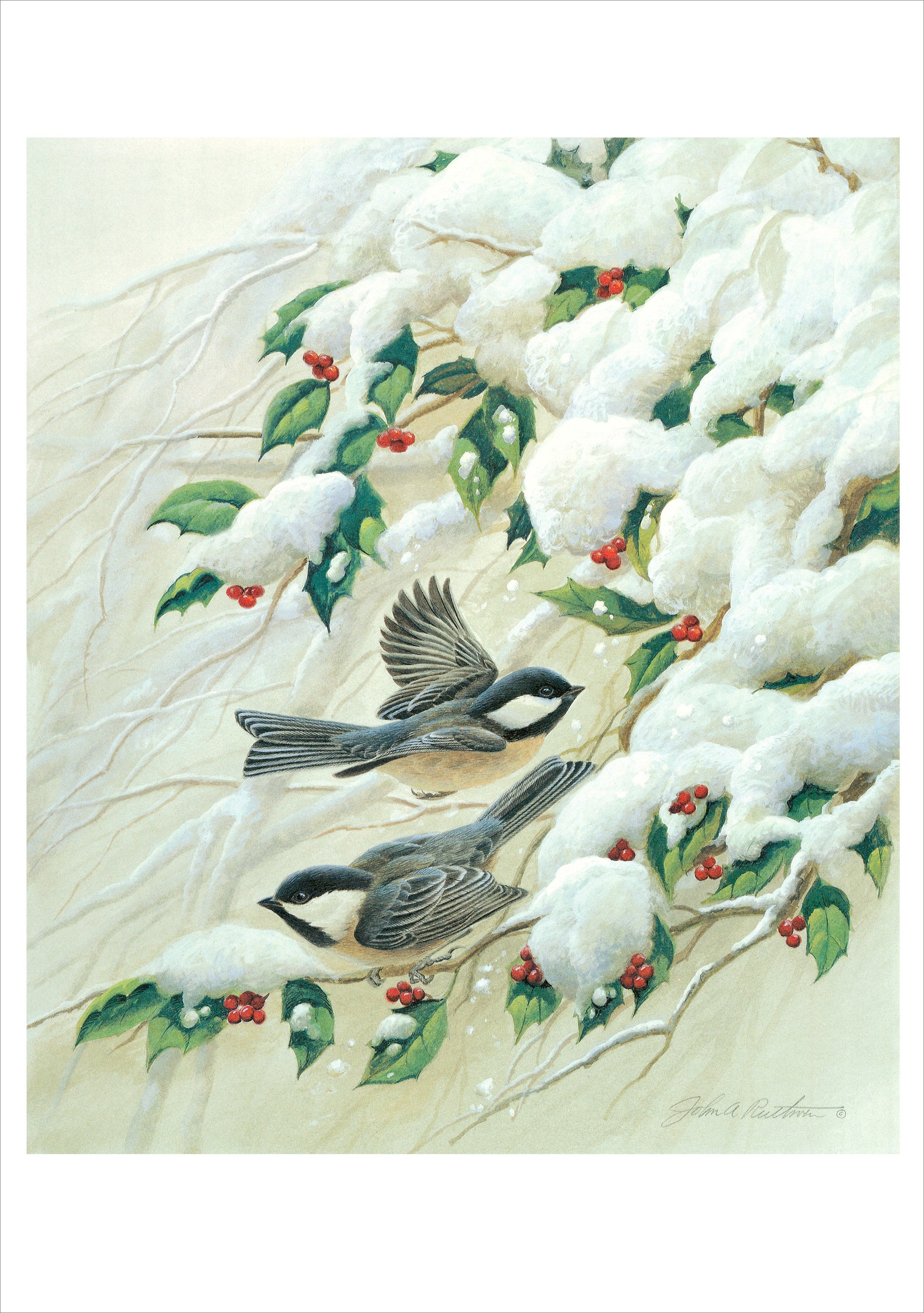 pomegranate-john-ruthven-chickadees-weihnachtskarten-set image 2