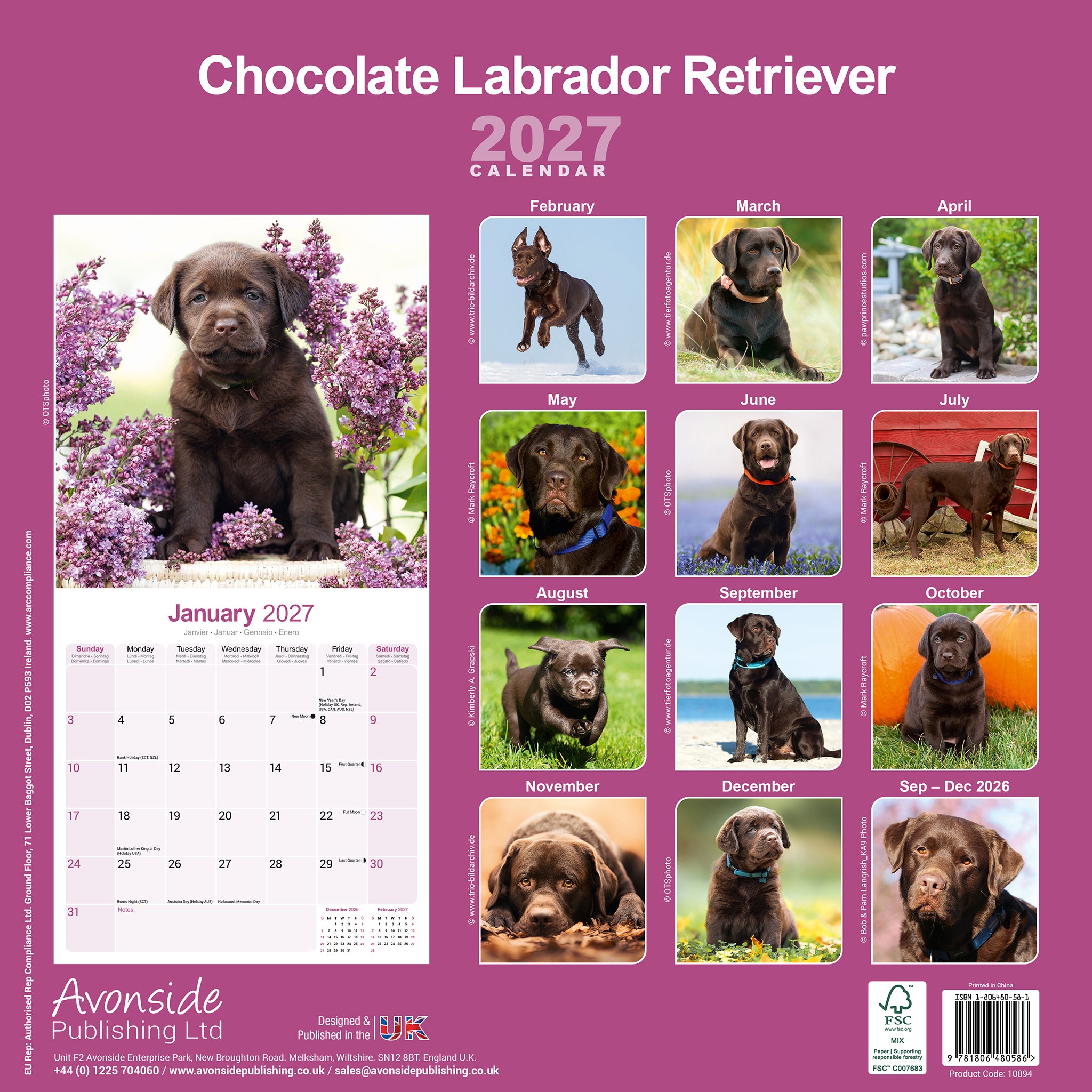 otter-house-labrador-wandkalender-2027-hunde-schoko image 2