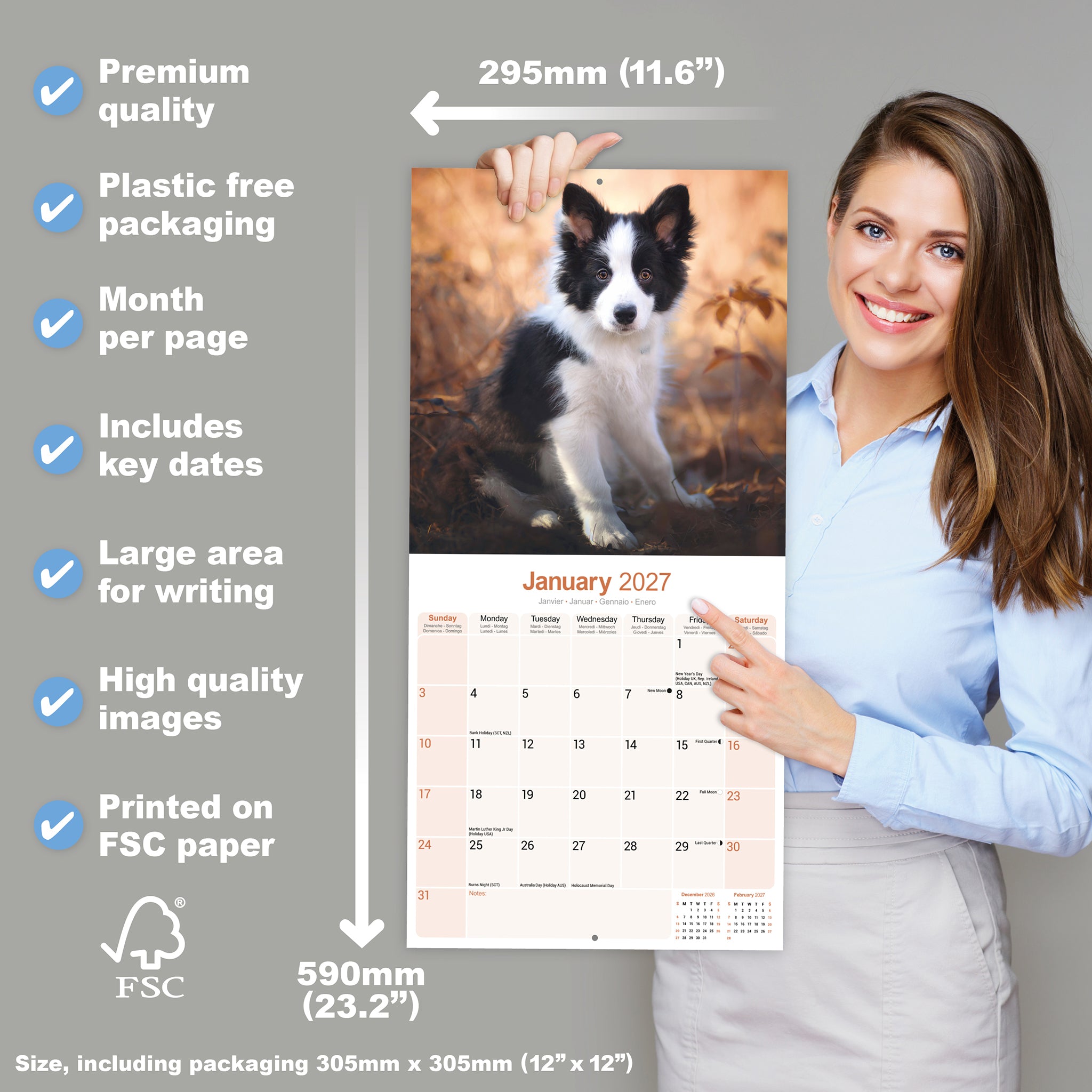 otter-house-border-collie-wandkalender-2027-hunde image 4