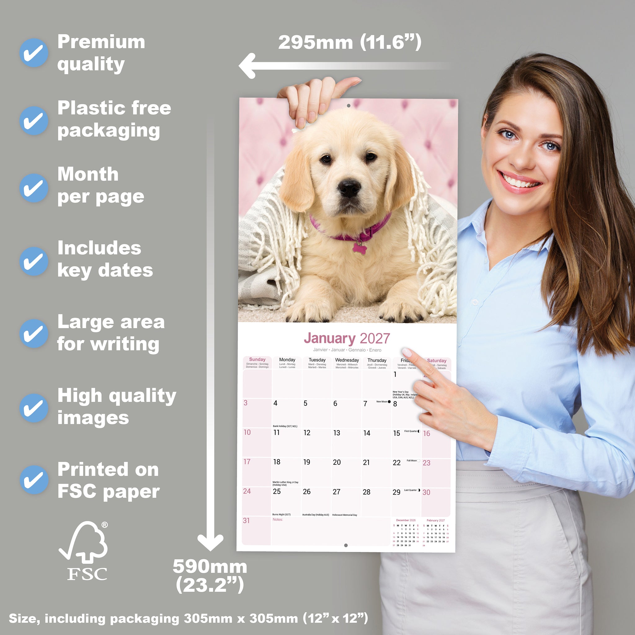 otter-house-golden-retriever-wandkalender-2027-hunde image 4