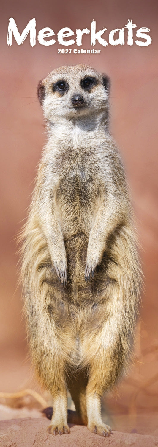 otter-house-meerkats-slim-calendar-2027-erdm-nnchen image 1