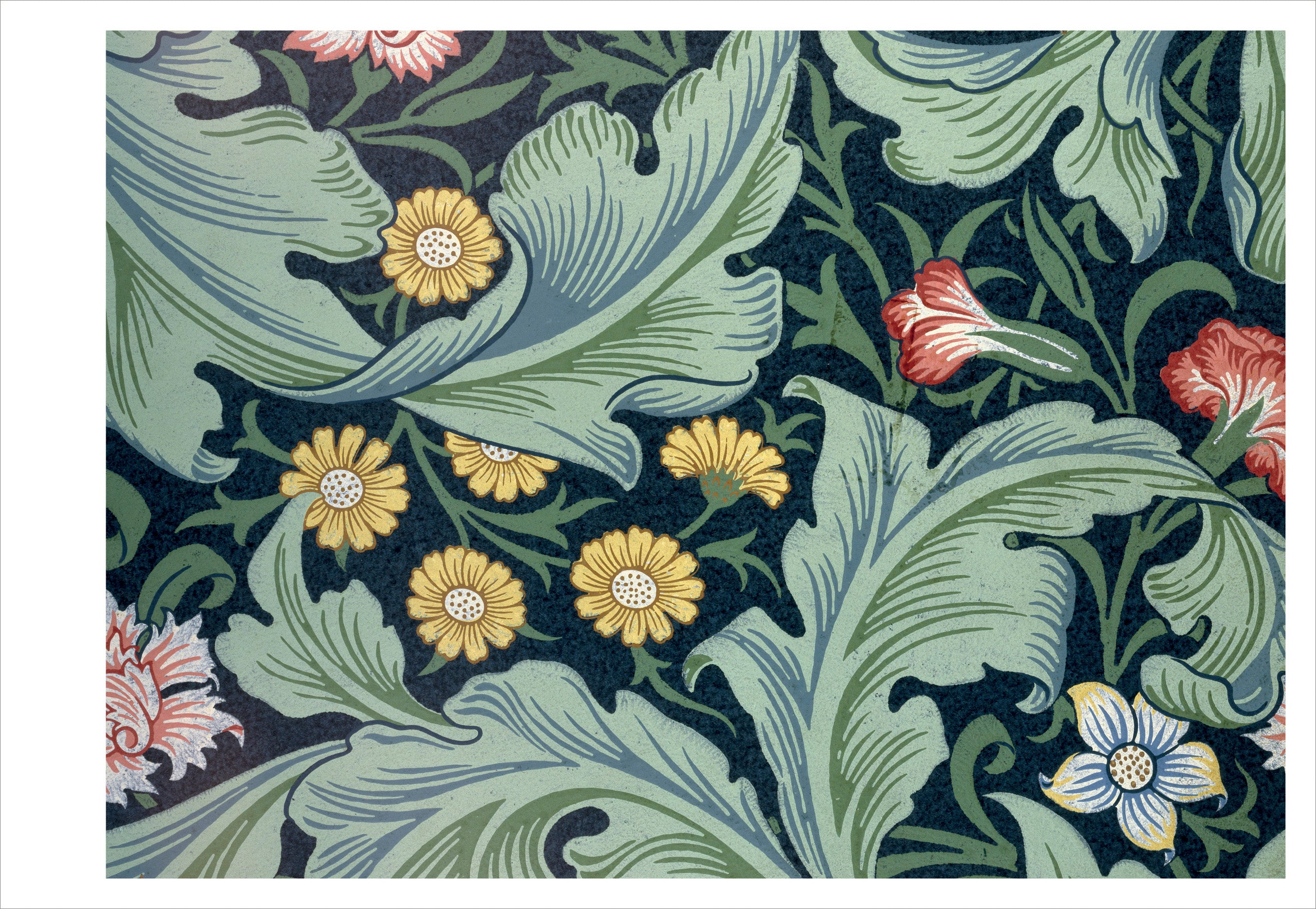 pomegranate-william-morris-arts-and-crafts-postkartenbuch-30-st-ck image 4