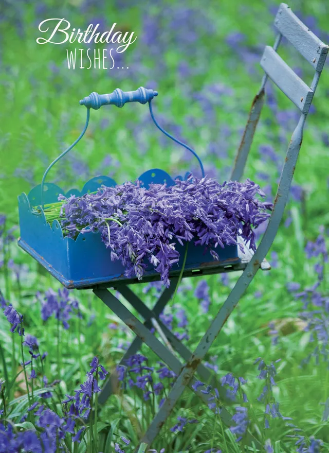 otter-house-bluebells-geburtstagskarte-blumen-stuhl image 1