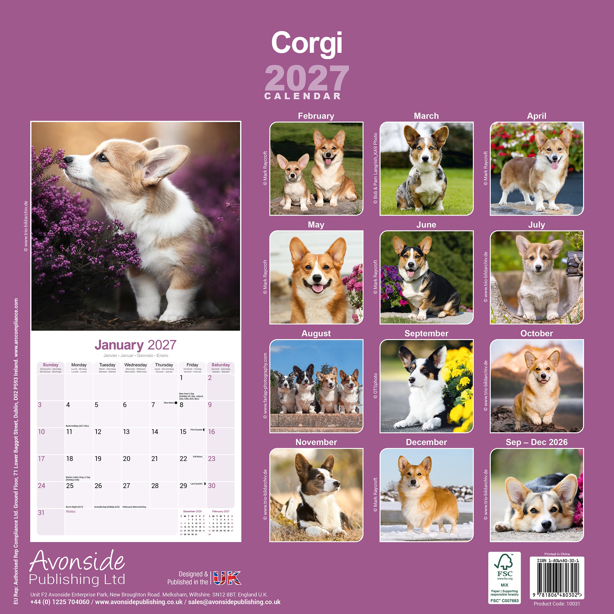 otter-house-corgi-wandkalender-2027-hundekalender image 2