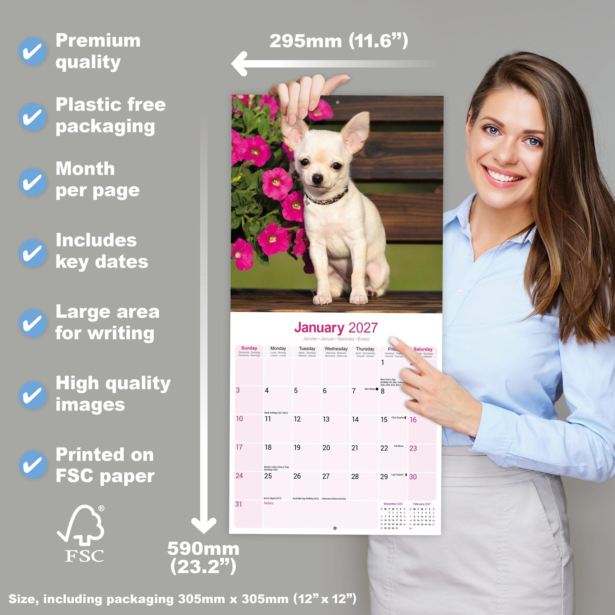 otter-house-chihuahua-wandkalender-2027-hunde-12-motive image 4