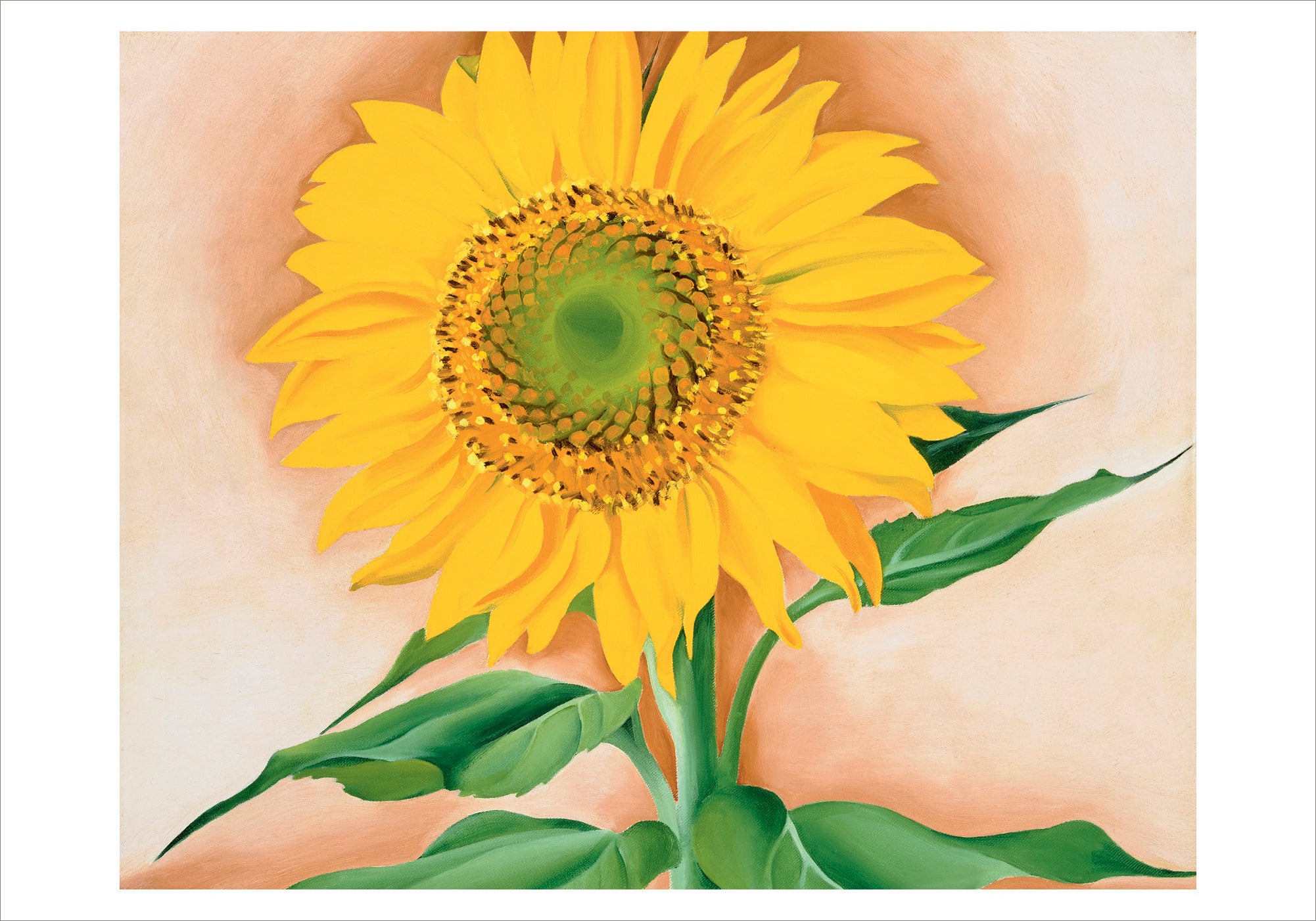 pomegranate-boxed-notecards-georgia-o-keeffe-sunflower-gru-karten-12er image 2