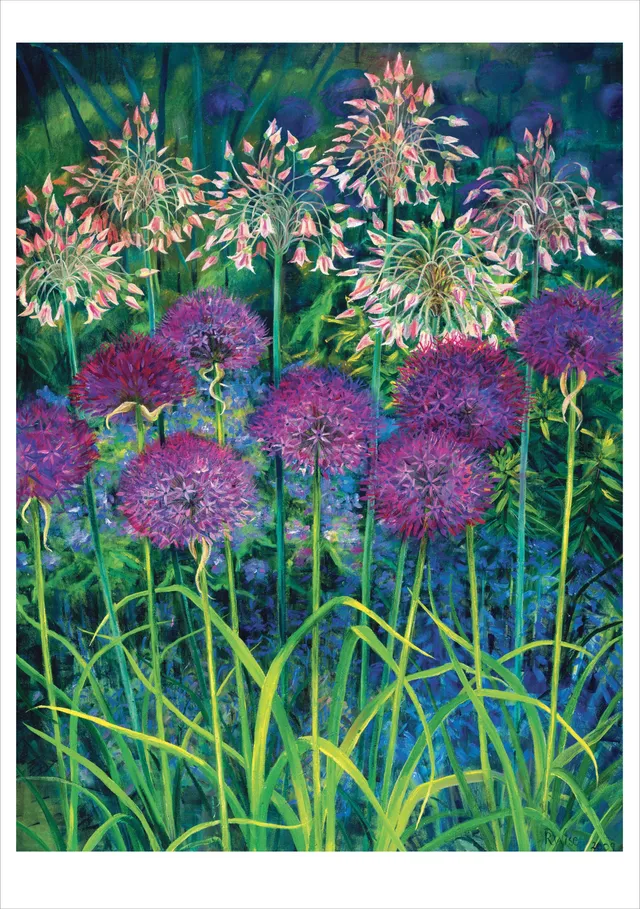 pomegranate-rosalind-wise-alliums-klappkarte-blanko image 1
