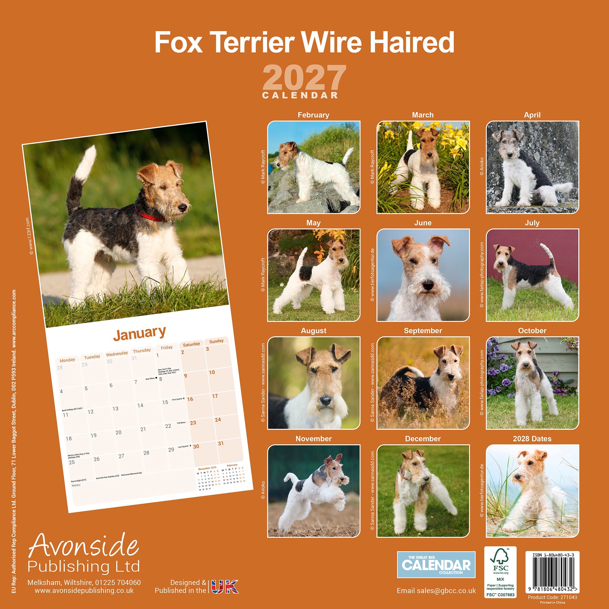 otter-house-fox-terrier-wirehaired-wandkalender-2027-hunde image 2