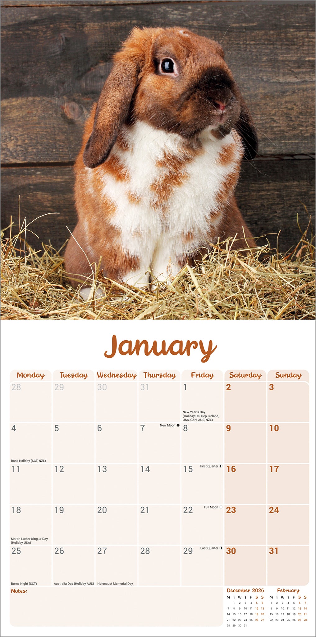 otter-house-lop-eared-rabbits-wandkalender-2027-kaninchen image 3