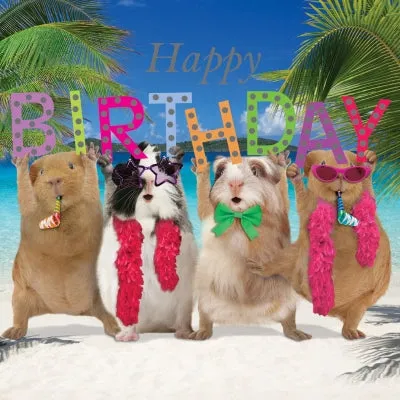 otter-house-crazy-crew-birthday-party-geburtstagskarte-meerschwein image 1