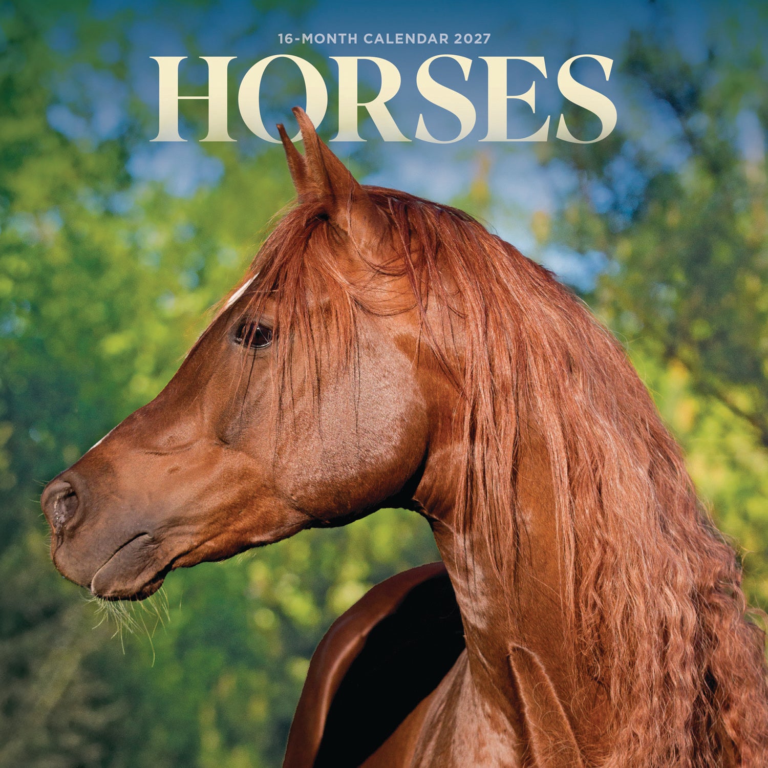 otter-house-horses-mini-kalender-2027-pferde-wandkalender image 1