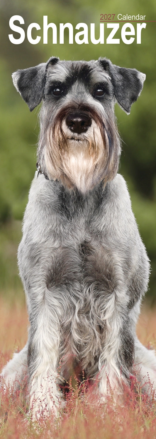 otter-house-schnauzer-slim-calendar-2027-wandkalender image 1