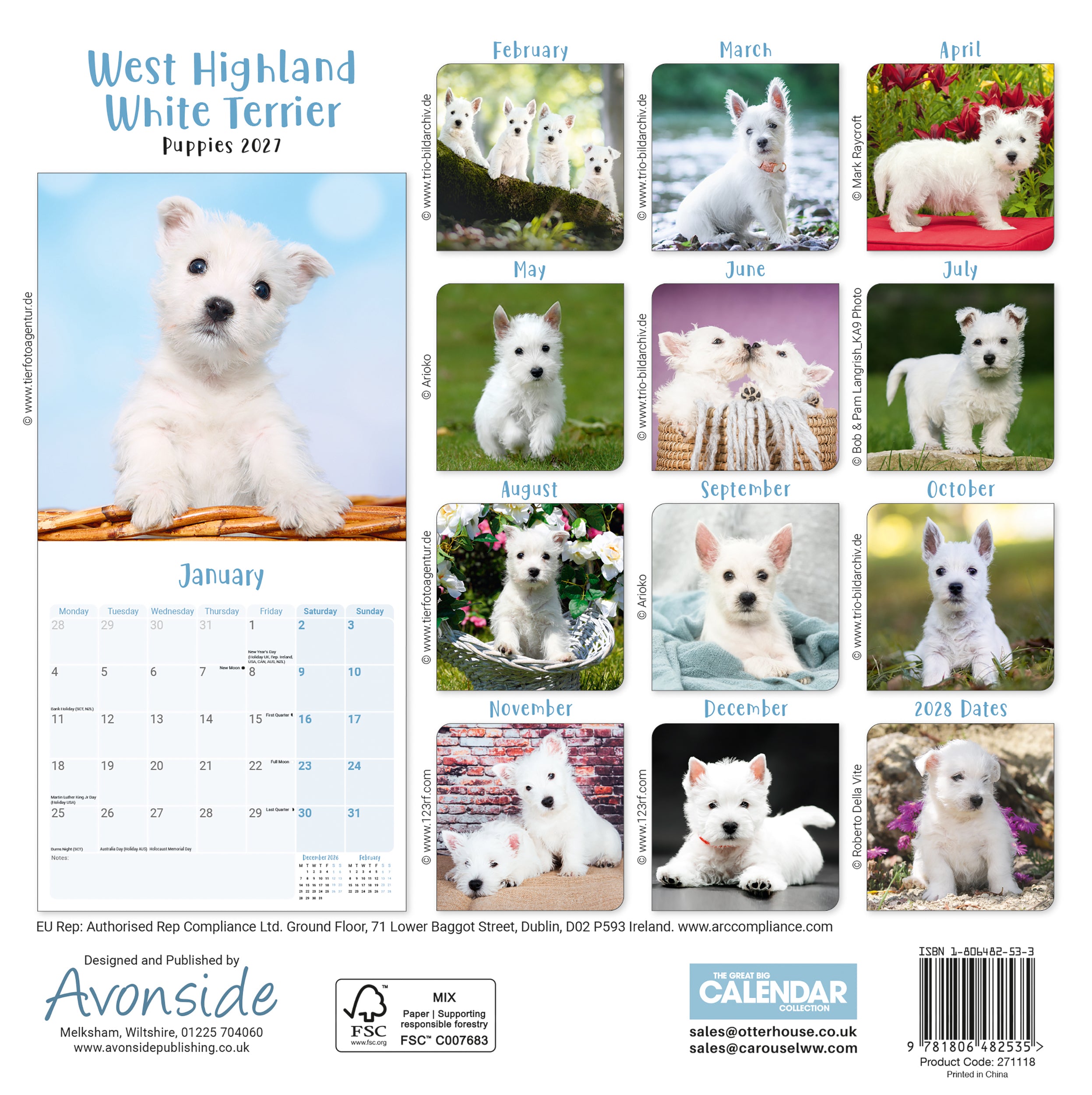 otter-house-west-highland-terrier-mini-kalender-2027-welpen image 2