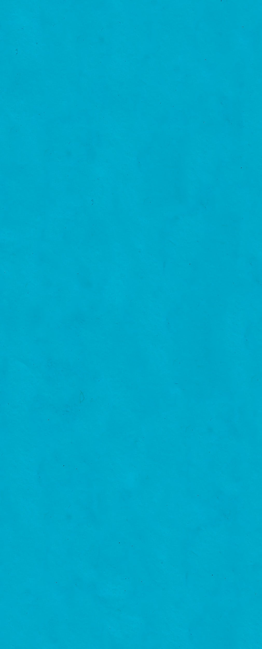 otter-house-tissue-pack-blue-seidenpapier-5-b-gen image 1