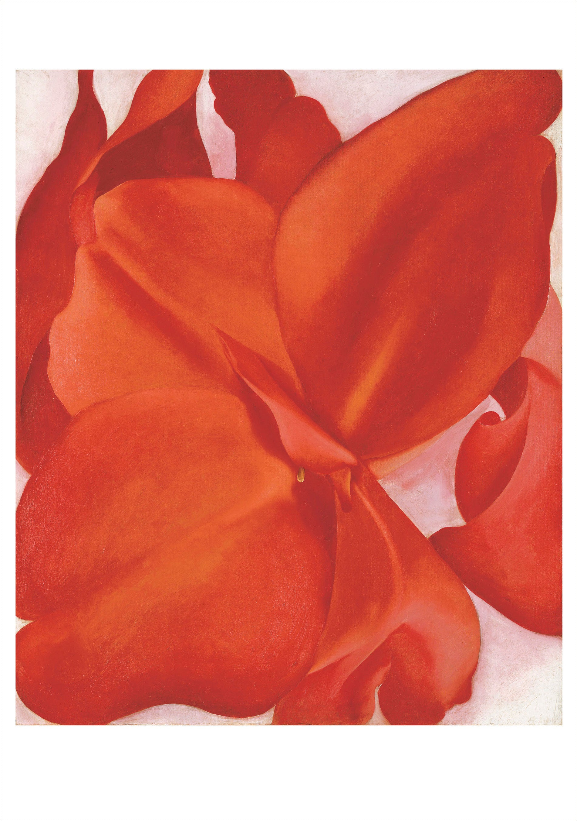 pomegranate-georgia-o-keeffe-kartenbox-20-karten-blumen image 5