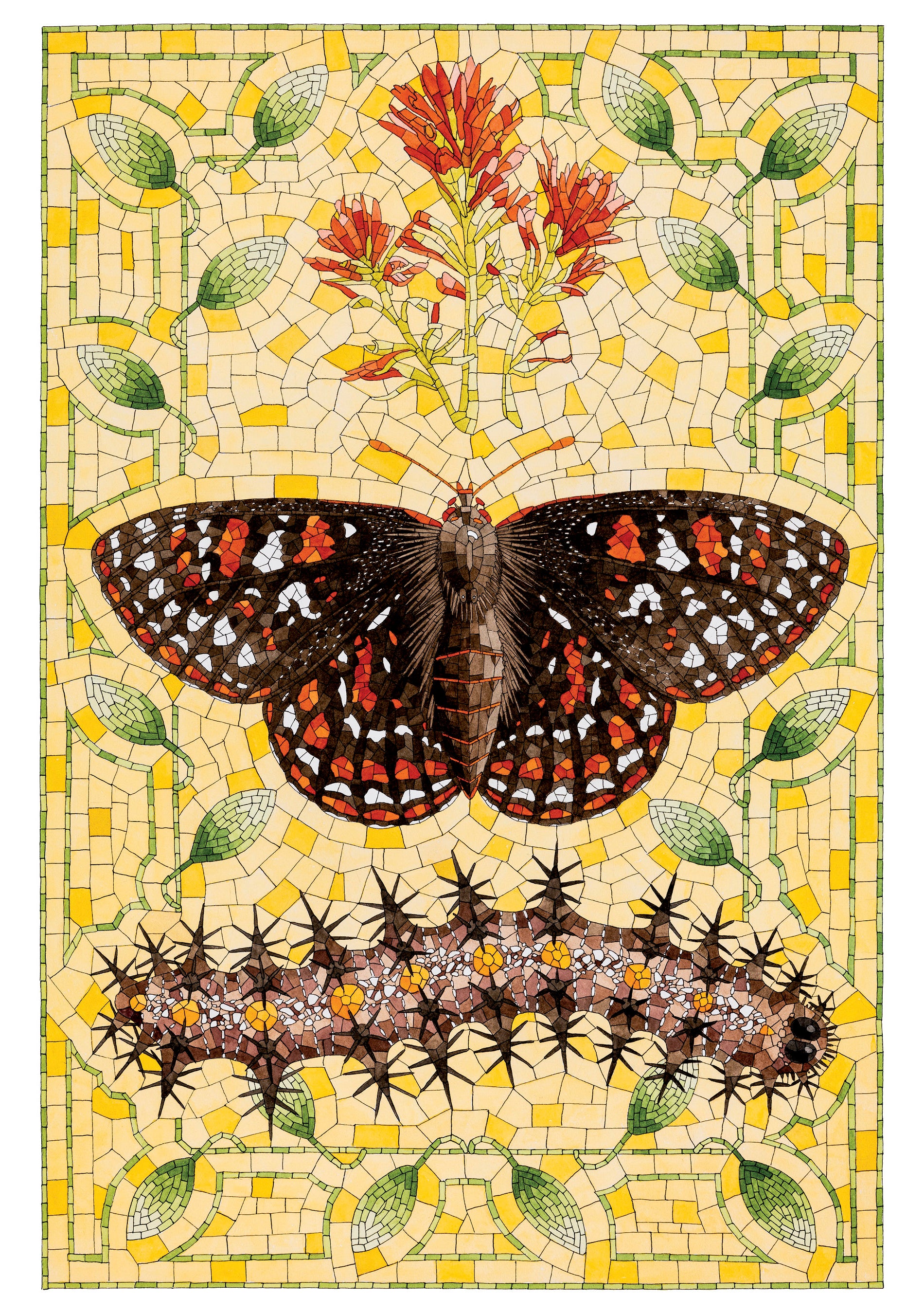pomegranate-cohen-taylor-s-checkerspot-geburtstagskarte-schmetterling image 1
