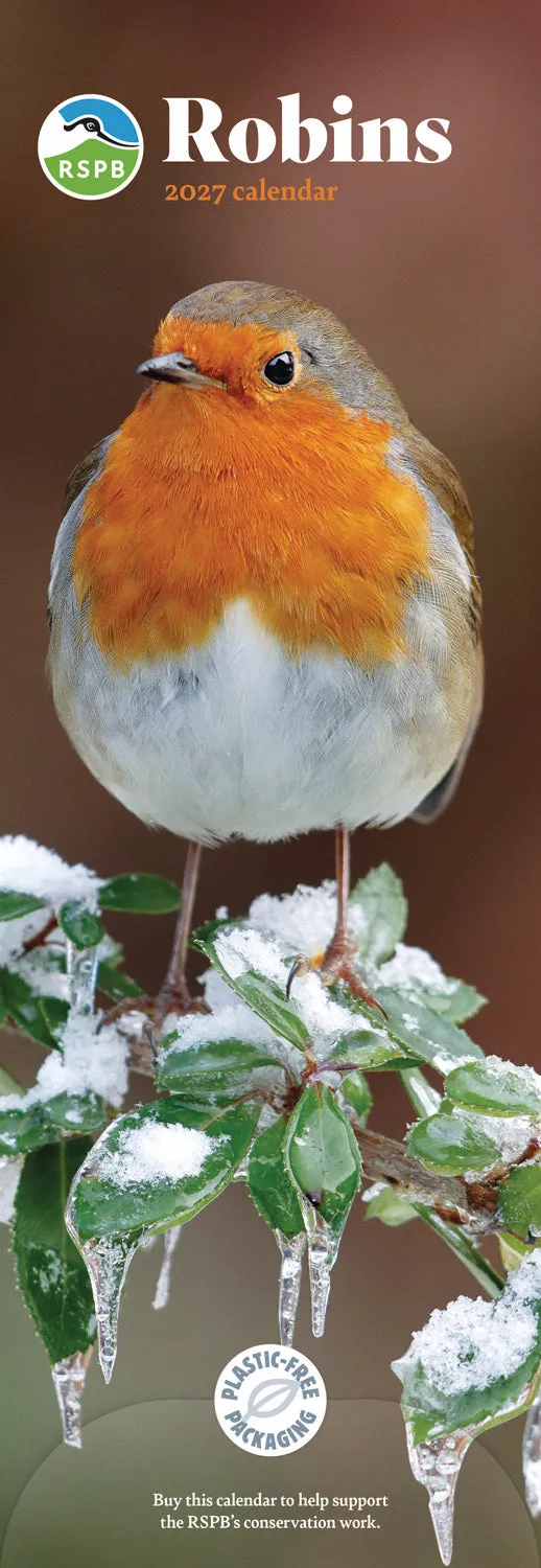 otter-house-calendars-robins-rspb-slim-kalender-2027-rotkehlchen image 1