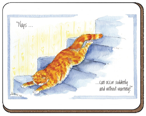 otter-house-alisons-animals-untersetzer-naps-can-occur-katze image 1