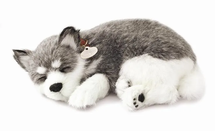 precious-petzzz-alaskan-husky-pl-schtier-atmend-mit-bett image 1