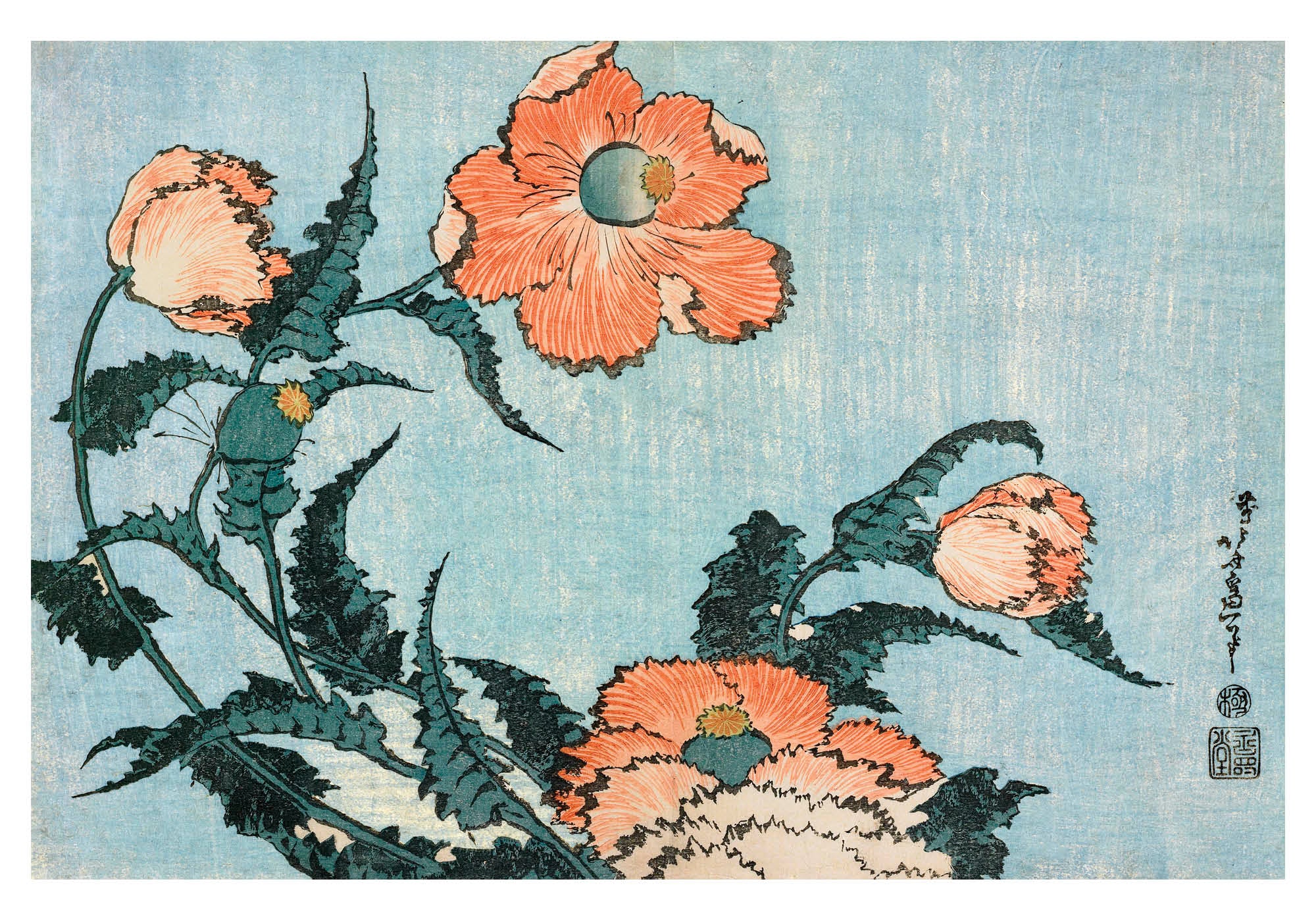 pomegranate-hokusai-poppies-boxed-notecards-klappkarten-mohn image 2