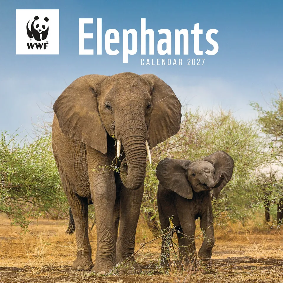 otter-house-elephants-wwf-wandkalender-2027-tierkalender image 1