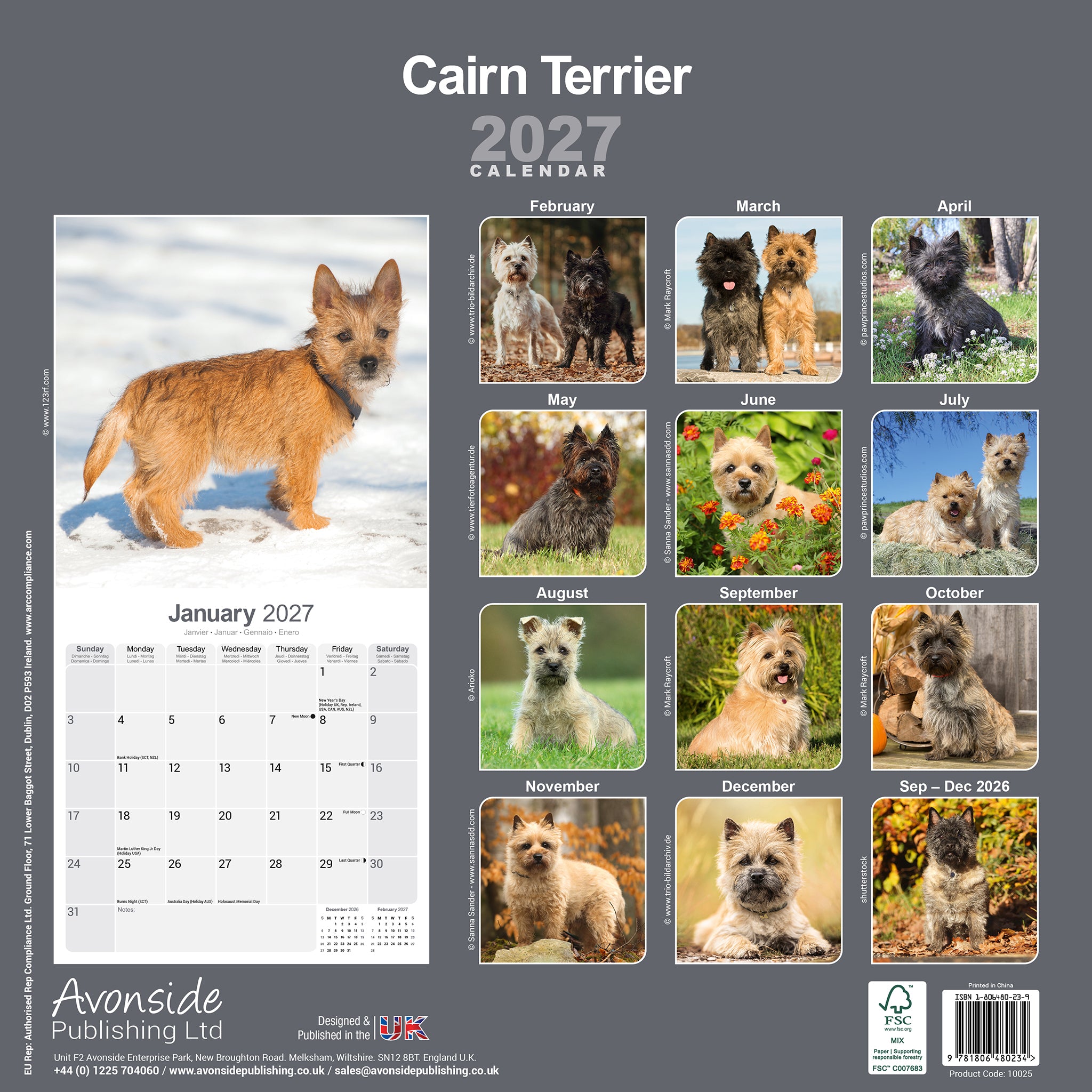 otter-house-cairn-terrier-wandkalender-2027-hunde image 2